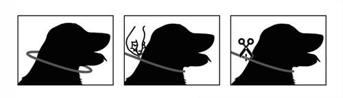 OBROŻA 75CM PRZECIW PCHŁOM KLESZCZOM PASOŻYTOM ROBAKOM DLA PSÓW NO PEST na Arena.pl