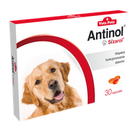 BIOVICO ANTINOL SIZAROL PIES 30 tabletek NA STAWY