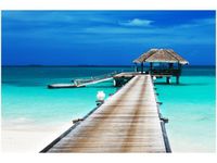 60X40CM DOMEK TROPIKACH OBRAZ