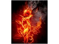 product-compare-58656678