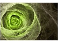 OBRAZ GREEN ROSE