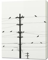 Obraz 70x90cm Symfonia na Drutach