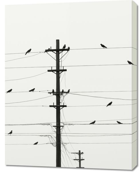 Obraz 70x90cm Symfonia na Drutach zdjęcie 1