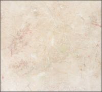 Tło fotograficzne Produktowe FLAT LAT Kulinarne