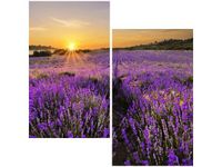 60X60CM POLE LAWENDY DWU OBRAZ ŚCIAN