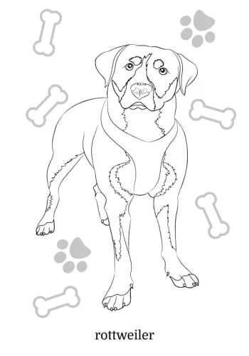 Maluszkowe Malowanie. Psy Rasowe na Arena.pl