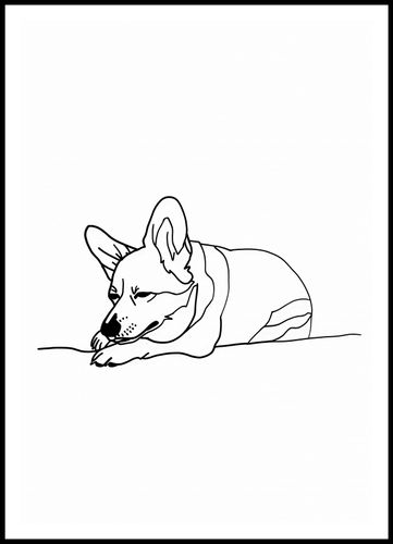 Plakat 70x100cm Śpiący Corgacz na Arena.pl