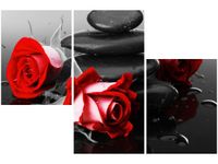 OBRAZ RÓŻE TLE KAMIENI AKCENT KOLORYSTYCZNY