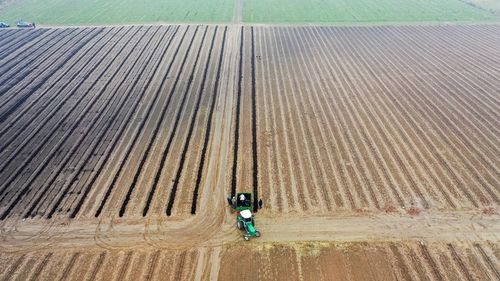 Ściółka z węgla brunatnego CARBOMAT ECO 20 L (pH 4,5 - 5,0) na Arena.pl