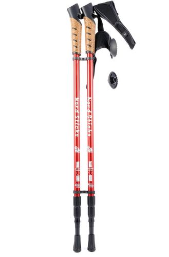 Kije Kijki Nordic Walking trekkingowe do chodzenia na Arena.pl