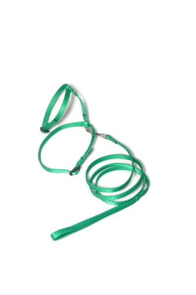 A-059 KOMPLET DLA KOTA V.2 Kolor - Niebieski zdjęcie 1