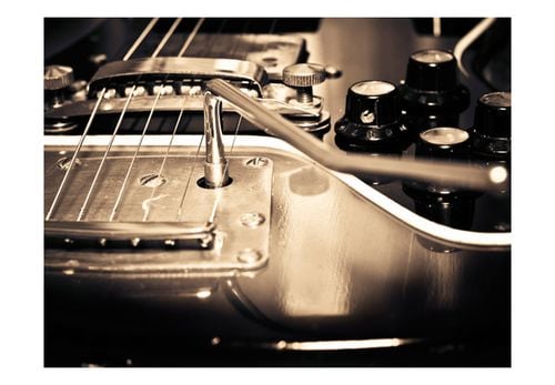 Fototapeta - Gitara 300x231 na Arena.pl