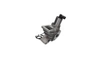 ZAWÓR EGR RENAULT MEGANE II 2002 2003 2004 2005 2006 2007