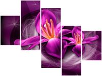 product-compare-58708591