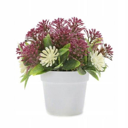 kwiat w doniczce zdjęcie 1