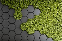 Tło PRODUKTOWE kulinarne Flat Lay na bloga insta