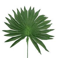 Liść paproci okrągły CF1-034 12 szt