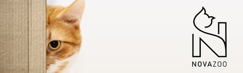 8x ŻWIREK SILIKONOWY LAWENDOWY BEZPYŁOWY PREMIUM DLA KOTA NOVAZOO 3.8L na Arena.pl