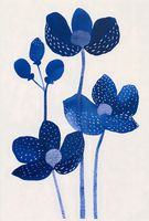 Plakat 61x90,5cm Nocne Kwiaty