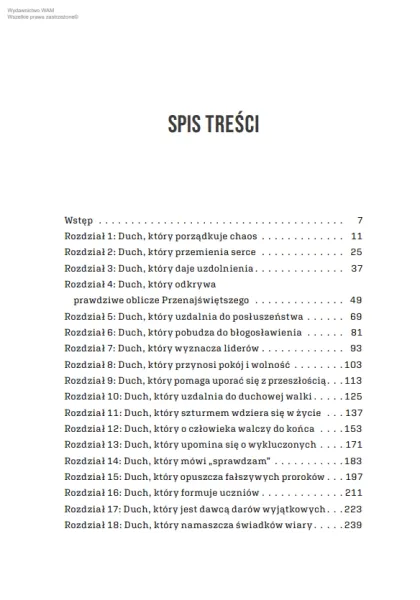 Duch Święty. Dotyk Boga w codzienności zdjęcie 6