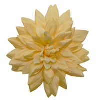 Dalia wyrobowa 6 szt beżowa