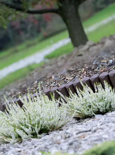 Palisada ogrodowa obrzeże trawnikowe Border 5m Płotek Brąz zdjęcie 3