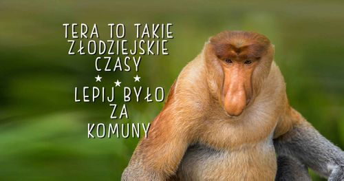 Kubek z nosaczem Za komuny było lepiej - 330 ml - czerwony na Arena.pl