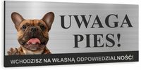 Tabliczka UWAGA ZŁY PIES - BULDOG FRANCUSKI uv