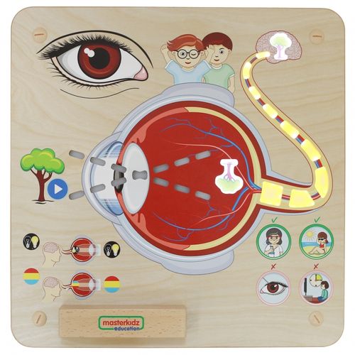 MASTERKIDZ Tablica Edukacyjna Zmysł Wzroku na Arena.pl