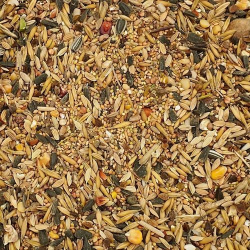 20kg Uniwersalna Karma dla Ptaków Ziarno Pokarm Zimowy Karmnik Champi na Arena.pl