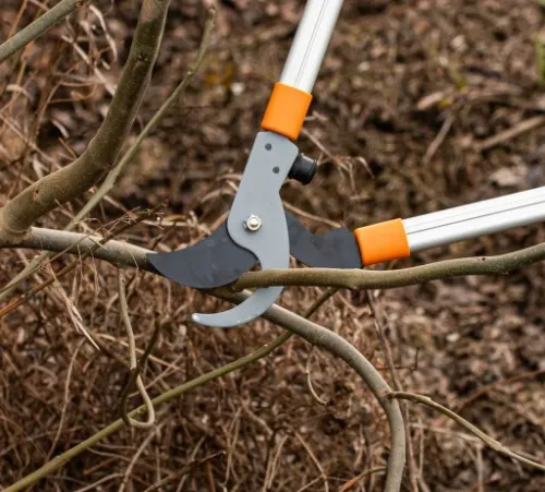 Sekator do Gałęzi Teleskopowy Ogrodowy Bradas na Arena.pl