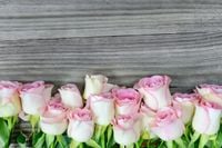 FOTOTAPETA ROŻE DESKI PIĘKNE KUCHNIA SALON 360x240