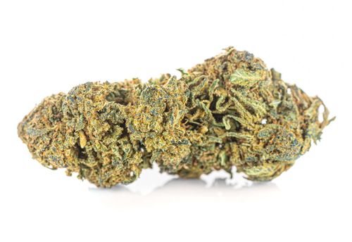 Susz konopny CBD | BLUEBERRY | 1000 g na Arena.pl
