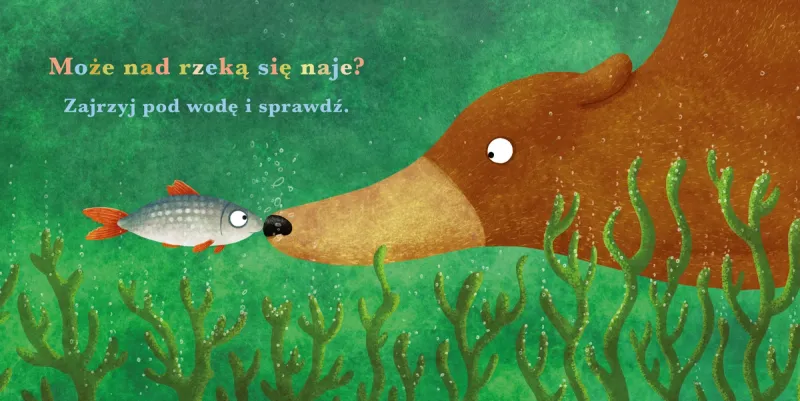Rok W Lesie. Niedźwiedź zdjęcie 2