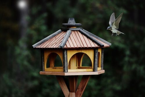 Karmnik dla ptaków drewno z wsypem Karmniki KW60 na Arena.pl