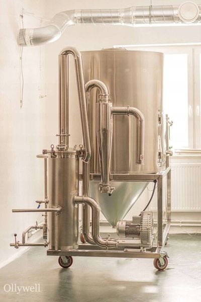 Polska Witania ospała Ashwagandha Ollywell Krople Silny ekstrakt Adaptogen zdjęcie 4