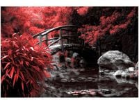 OBRAZ SECRET GARDEN MOST OGRÓD JAPONIA KOLORY