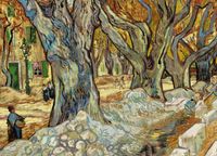 Plakat 18x13cm The Large Plane Trees, Van Gogh Vintage