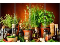 120CM 80 OBRAZ 4 ELEM PRZYPRAWY ZIOŁOWE ŚCIENNY