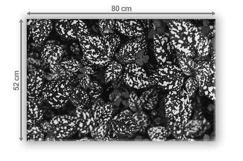 SZKLANA DESKA NA KUCHENKĘ 80x52 013B MONO LIŚCIE na Arena.pl