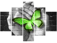OBRAZ GREEN BUTTERFLY MOTYL DŁOŃ CEGŁA