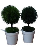 drzewko w doniczce 20cm  don03243
