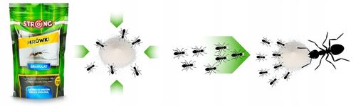 PREPARAT NA MRÓWKI, PROSZEK NA MRÓWKI DO DOMU I OGRODU, TRUTKA STRONG 1 KG na Arena.pl