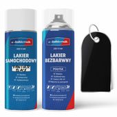 lakier samochodowy w sprayu + bezbarwny połysk ford panther black