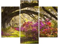 product-compare-58710364