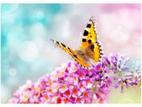 50X70CM MOTYL KWIATKACH OBRAZ POKOJU DREWNINE