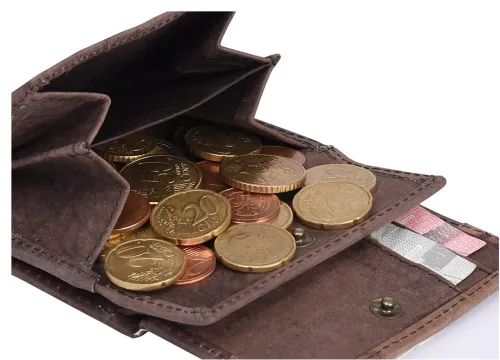 portfel męski brązowy-beżowy always wild na Arena.pl