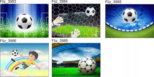 FOTOTAPETA PIŁKARSKA BRAMKARZ GOL 395x280 na Arena.pl