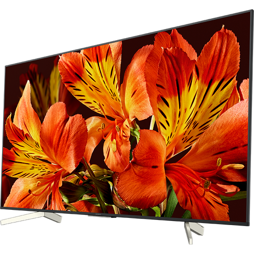 Telewizor SONY KD-85XF8596 na Arena.pl