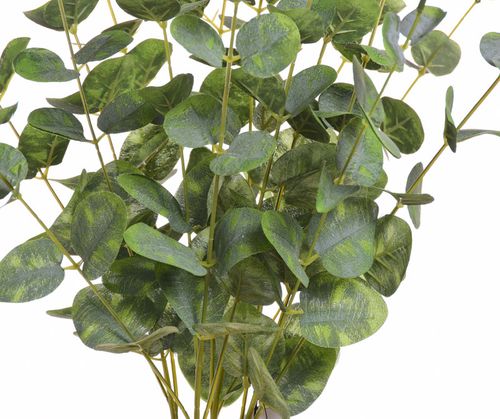 Eukaliptus bukiet powder green na Arena.pl